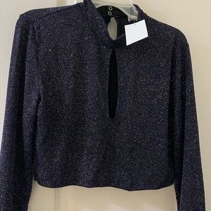 H&M glitter crop top - BNWT